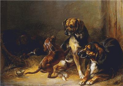 Dogs and Whelps