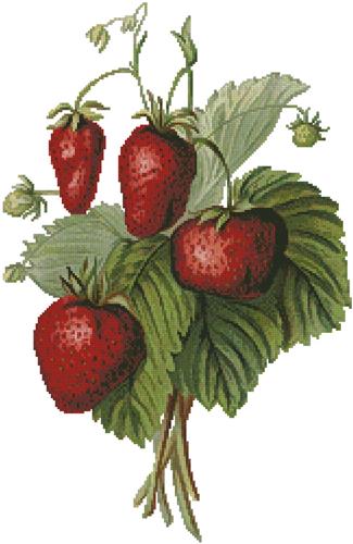 Strawberries Painting