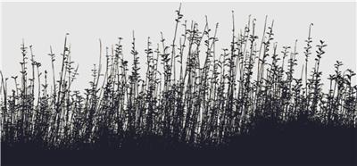Meadow Silhouette