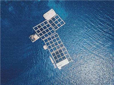 Fish Farm