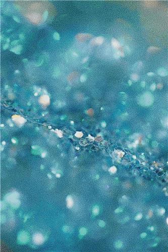 Shimmery Sequins