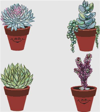 Succulents in Clay Pots IV