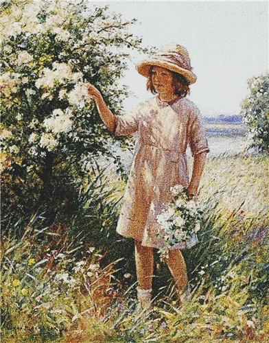 Picking May Blossoms