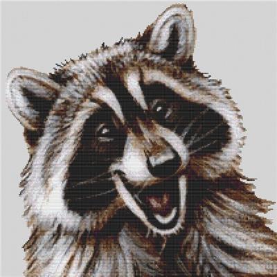 Happy Raccoon