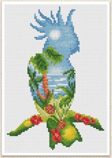 Parrot