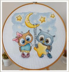 Star Owls