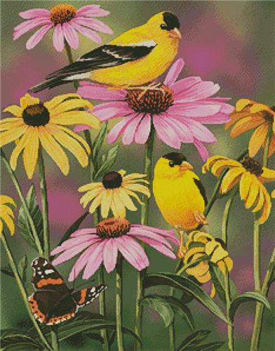 Golden Finches