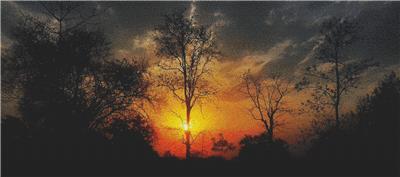 Orange Sky