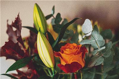 Flower Arrangement