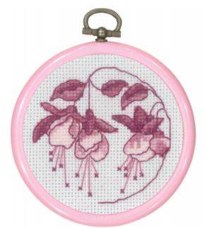 Rosa Fuchsia