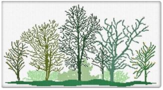 Spring Forest