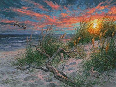 Beach Life