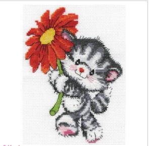Red Daisy Cat