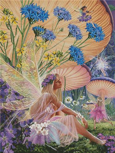 Fairy Ring Daydreaming