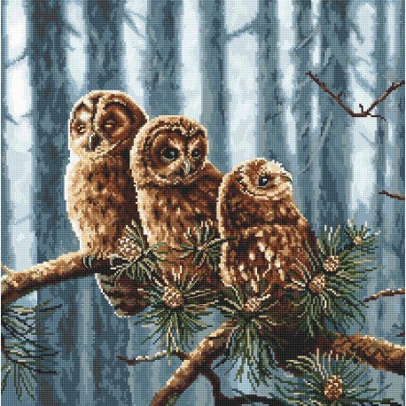 Owls Family