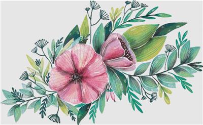 Pink Blooming Flowers