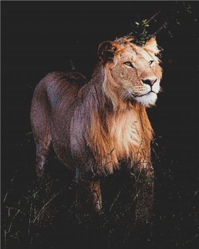 Majestic Lion