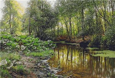 View of Lellinge Stream