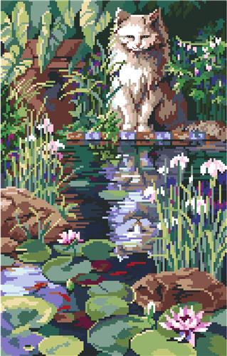 Reflections
