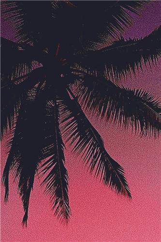 Sunset in a Tropical Paradise