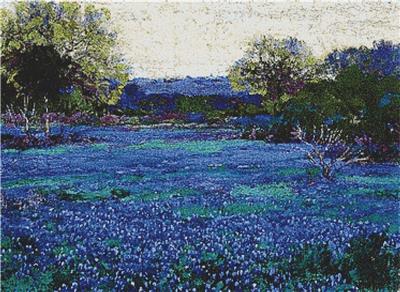 Bluebonnets on a Grey Day