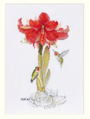 Amaryllis