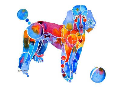 French Poodle