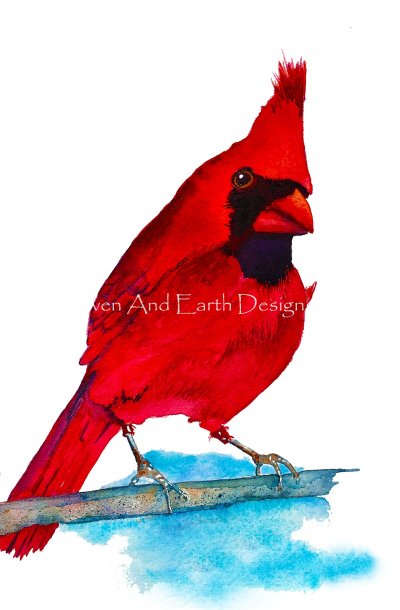 Cardinal