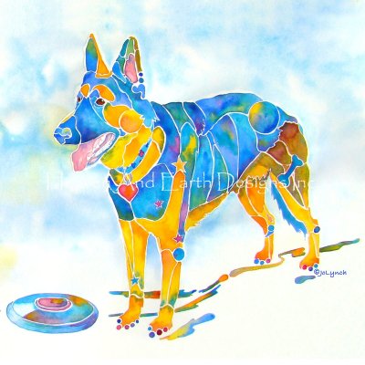 Shepherd with Frisbee