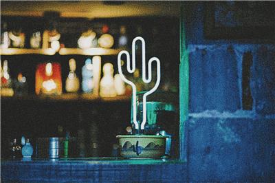 Neon Light