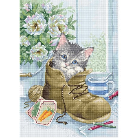 Cute Kitten