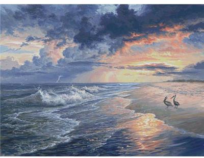 Pelican Beach (Large)