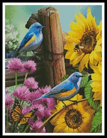 Mini Sunflower Garden