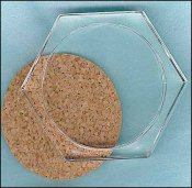 Hexagonal Acrylic Paperweight or Coaster w/Cork Backing