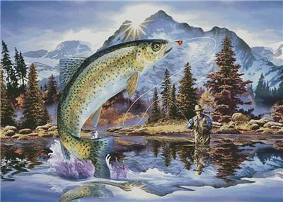 Rainbow Trout - Large