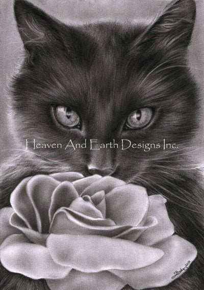 Kitten and the Rose - Mini