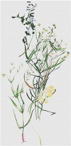 Fresh Floral Arrangement II