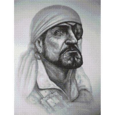 Pirate, The