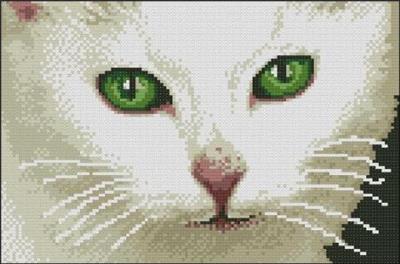 Green Eyes