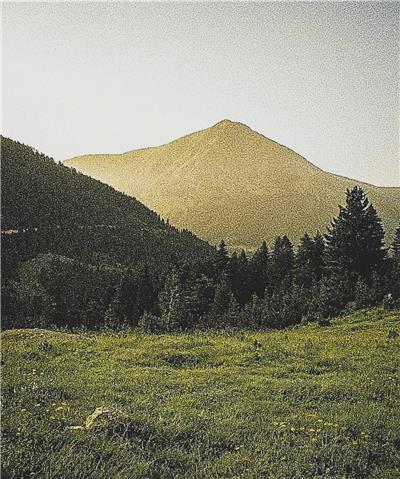 Meadow in the Mountains
