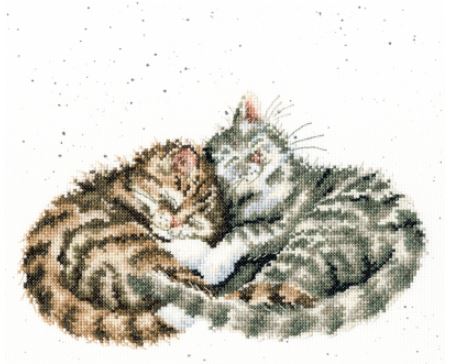 Sweet Dreams