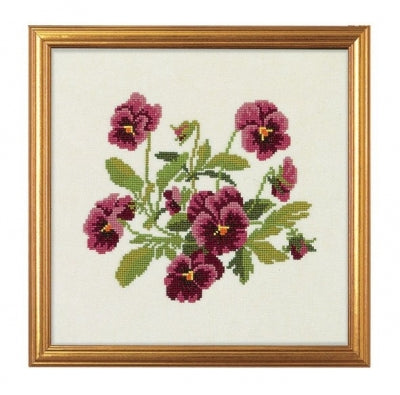 Pansy