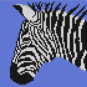 Zebra w/Blue Background