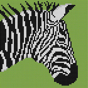 Zebra w/Green Background