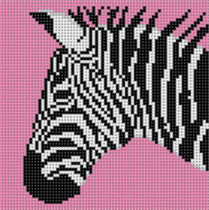 Zebra w/Pink Background