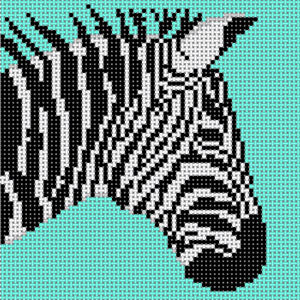Zebra w/Teal Background
