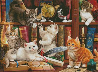 Kittens in the Library