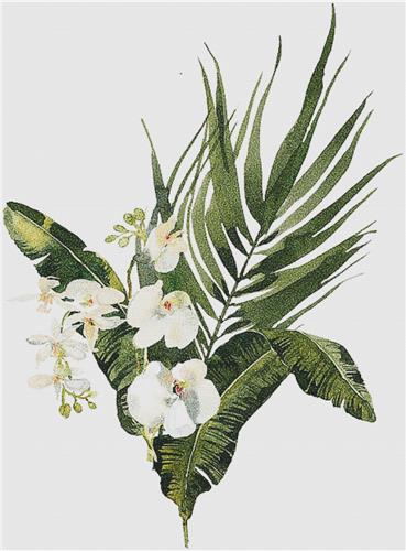 White Orchid Arrangement