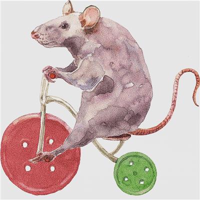 Cute Rat