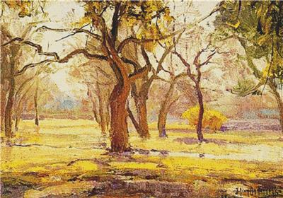 Sunlight After Rain